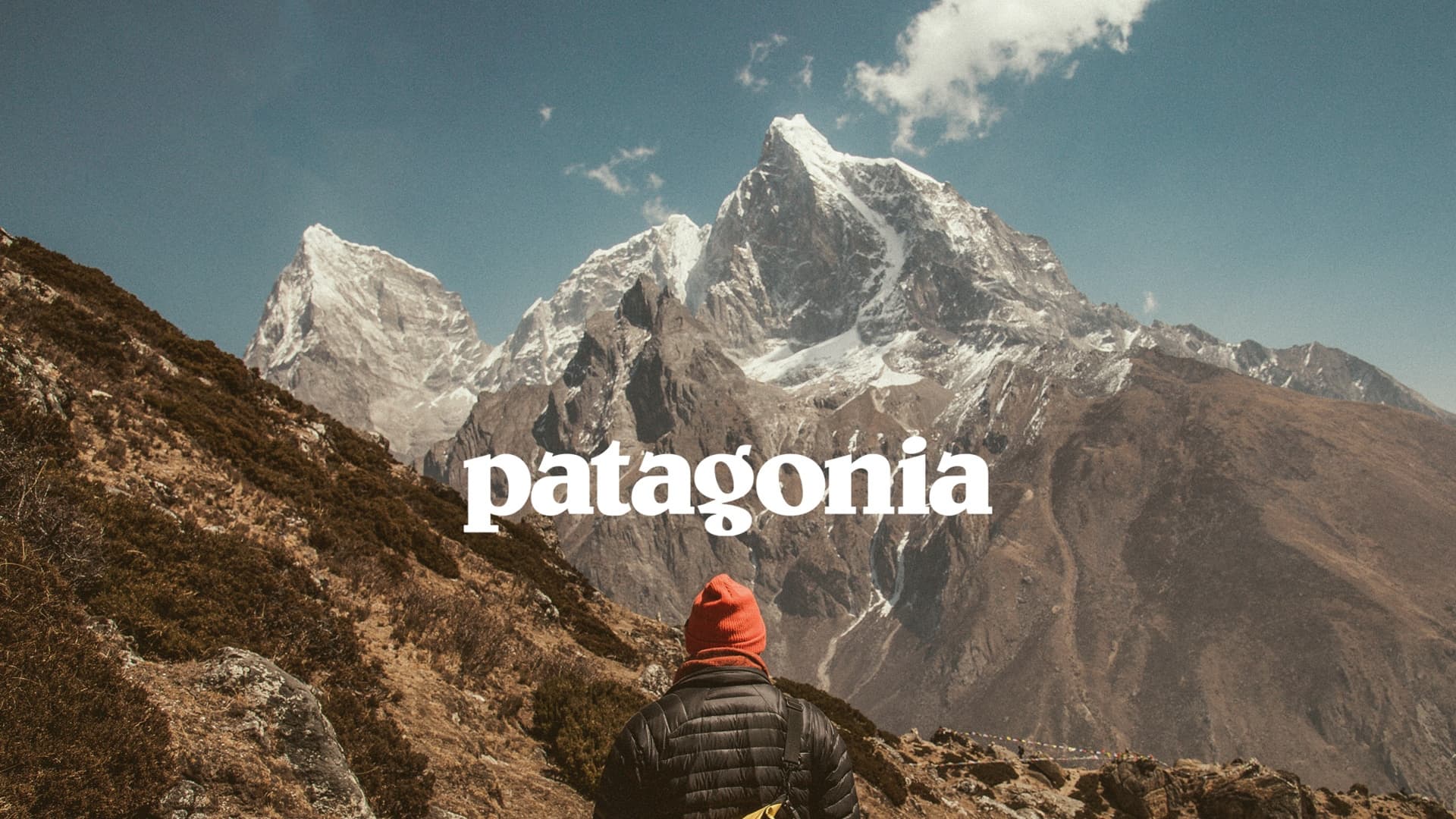 Patagonia Logo Redesign