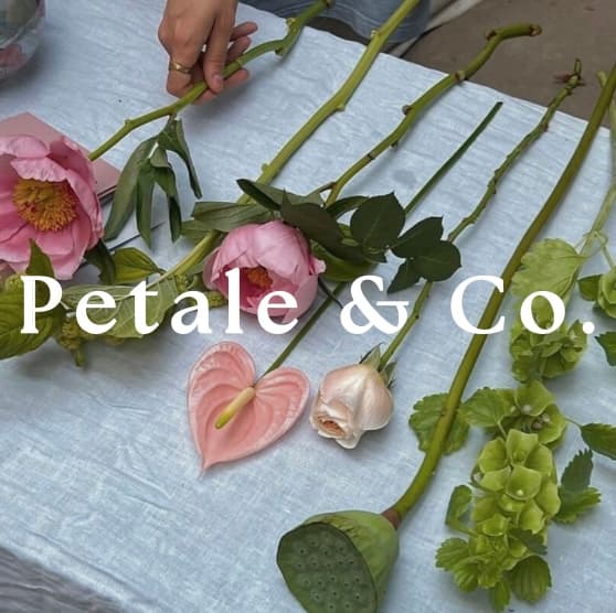 Petale & Co. Brand Mockup